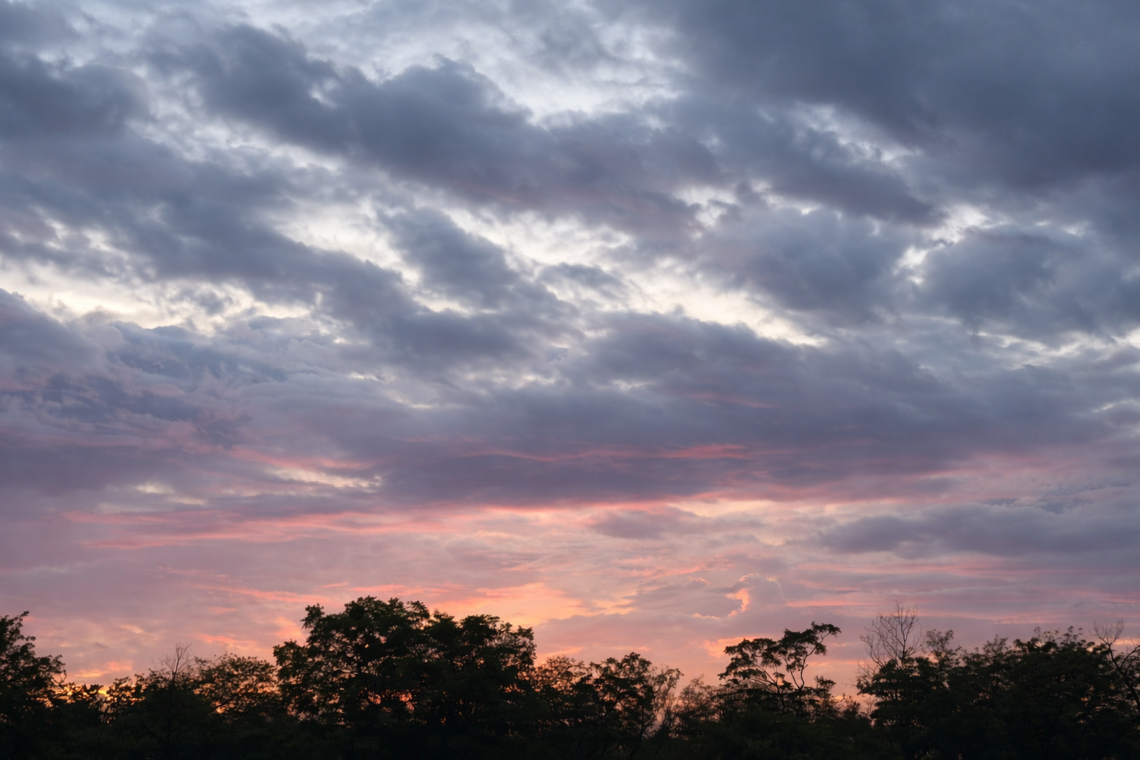 Clouded sunrise sky over trees symbolizing early dementia awareness and cognitive health