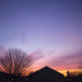 Soft winter sunset with purple, pink, and golden sky over silhouetted trees and rooftops