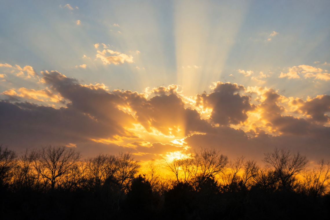 Why dementia patients want to go home dementia caregiving article sunset through trees